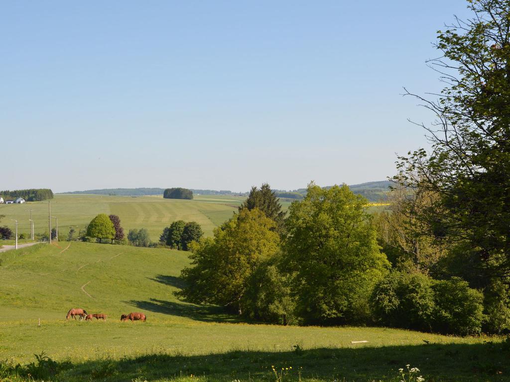Attached Gite On The Edge Of The Forest Trois-Ponts Luaran gambar