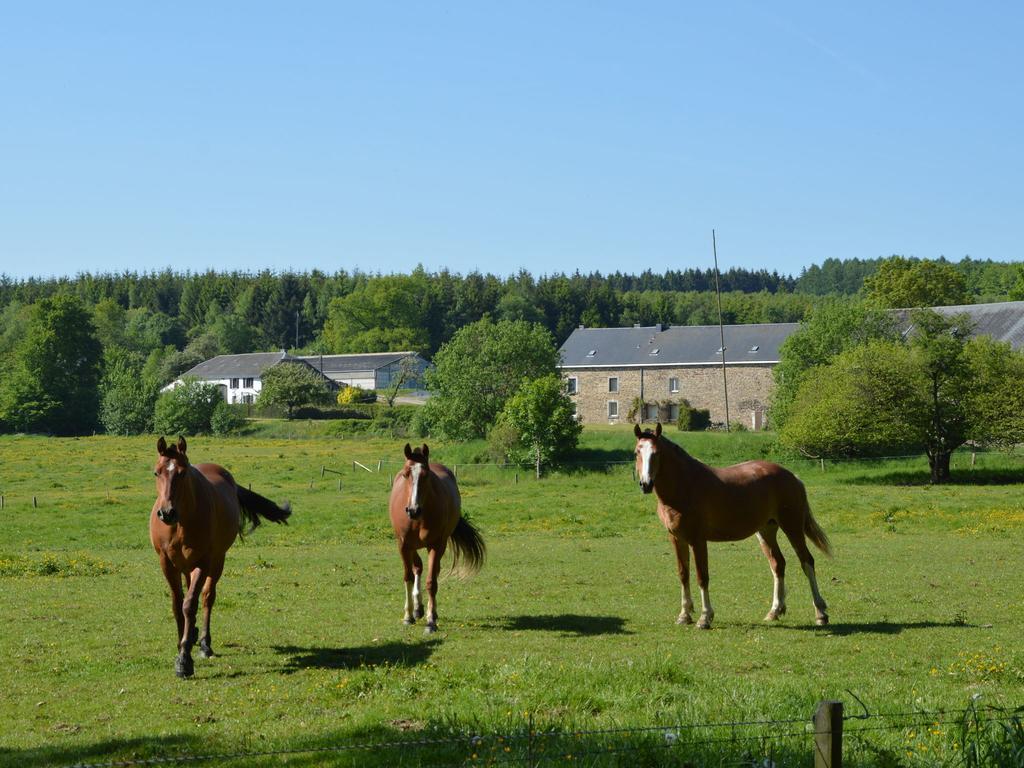 Attached Gite On The Edge Of The Forest Trois-Ponts Luaran gambar